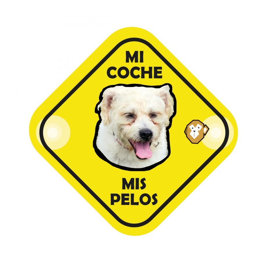 Mi Coche, Mis Pelos